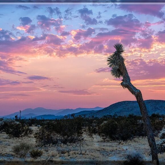 Some Amazing JT sunsets! - Picture 16 of 16